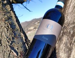 Immagine 1 di FREISA D’ASTI D.O.C. SUPERIORE RARIA CASCINA QUARINO VINI