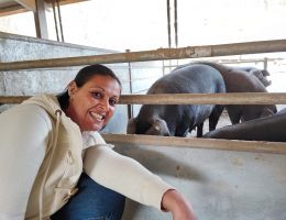 Immagine 4 di MORTADELLA OSSOLANA DA SUINO NERO DEL ROSA