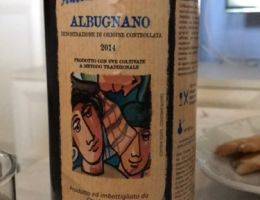 Immagine 2 di ALBUGNANO D.O.C. BRICCO BIANCO ANTONELLA NATTA VINI