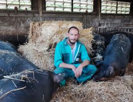 Immagine 4 di CULATELLO DI SUINO NERO DI MORA ROMAGNOLA 14 MESI STAGIONATURA  AGRI I FONDI