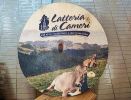 Immagine 4 di VERDALPE A LATTE DI CAPRA PICCANTE LATTERIA DI CAMERI 1914