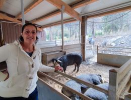 Immagine 4 di PROSCIUTTO CRUDO DI SUINO NERO PIEMONTESE 24MESI VALLE DEL ROSA