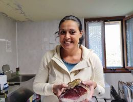 Immagine 1 di PROSCIUTTO CRUDO DI SUINO NERO PIEMONTESE 24MESI VALLE DEL ROSA