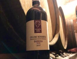 Immagine 3 di COLLINE NOVARESI D.O.C. BARBERA PIELEO PLATINETTI GUIDO VINI