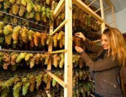 Immagine 1 di ERBALUCE DI CALUSO PASSITO D.O.C.G. CASTELLO DI AZEGLIO