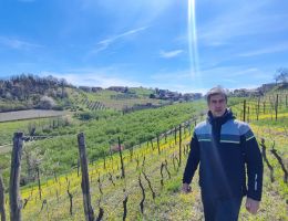 Immagine 5 di MONFERRATO FREISA D.O.C. ORESTE BUZIO VINI BIO