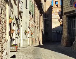 Immagine 5 di GRIGNOLINO DEL MONFERRATO CASALESE D.O.C. SOLISTA CINQUE QUINTI VINI