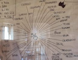 Immagine 3 di GRIGNOLINO DEL MONFERRATO CASALESE D.O.C. SOLISTA CINQUE QUINTI VINI