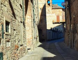 Immagine 5 di BARBERA DEL MONFERRARO SUPERIORE D.O.C.G. ROVERÒ QINQUE QUINTI VINI