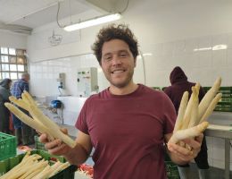Immagine 1 di ASPARAGO BIANCO DI CANTELLO LE PIANELLE DI PAOLO ORLANDI