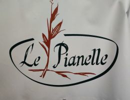 Immagine 2 di ASPARAGINA IN AGRODOLCE BIANCA DI CANTELLO LE PIANELLE DI PAOLO ORLANDI