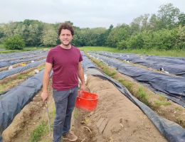 Immagine 4 di ASPARAGINA IN AGRODOLCE BIANCA DI CANTELLO LE PIANELLE DI PAOLO ORLANDI