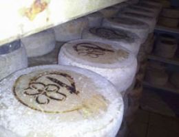 Immagine 3 di PLAISENTIF ALTA VAL GHISONE CASEIFICIO AGU' CHIAFFREDO