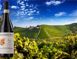 Immagine 3 di BARBARESCO D.O.C.G. RISERVA  ASILI PRODUTTORI DEL BARBARESCO