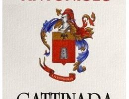 Immagine 2 di GATTINARA D.O.C.G. RISERVA ANTONIOLO VIGNAIOLO IN GATTINATA