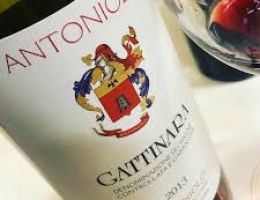 Immagine 1 di GATTINARA D.O.C.G. RISERVA ANTONIOLO VIGNAIOLO IN GATTINATA