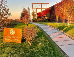 Immagine 2 di HALLE' ROSE' BRUT METODO CLASSICO ENRICO CROLA VIGNETI E VINI