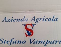 Immagine 4 di BRAMATERRA D.O.C. STEFANO VAMPARI VIGNAIOLO