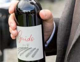 Immagine 1 di GUIDO VINO ROSSO SISTEMA A MAGGIORINA PLATINETTI GUIDO VINI