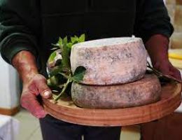 Immagine 1 di TOMA DELLA VAL LANZO CASEIFICIO I CASTAGNI