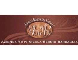 Immagine 2 di COLLINE NOVARESI CROATINA D.O.C. BARBAGLIA VINI