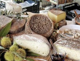 Immagine 1 di TOMA D’ALPEGGIO DELLA VALLE DI TROVINASSE CASEIFICIO NICOLETTA