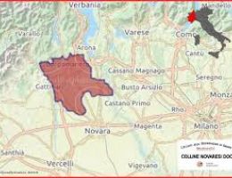 Immagine 5 di COLLINE NOVARESI UVA RARA D.O.C. VALCERESOLE CASTALDI VINI