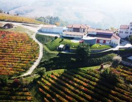 Immagine 4 di LANGHE ROSSO D.O.C. FIORE DI HARYS CANTINA GILLARDI