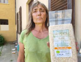Immagine 1 di RISO RIBE BIO TERRE DI LOMELLINA