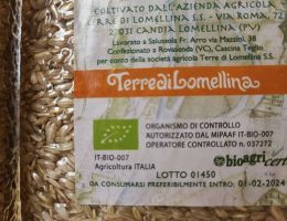 Immagine 3 di RISO RIBE BIO TERRE DI LOMELLINA