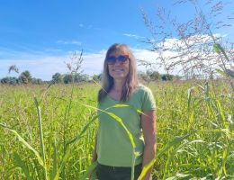 Immagine 4 di RISO RIBE BIO TERRE DI LOMELLINA