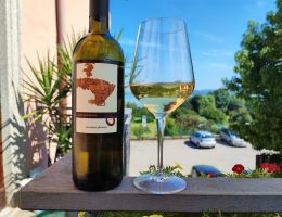 Immagine 1 di RONCHI VARESINI I.G.T. SAN QUIRICO CASCINA PIANO DI ANGERA