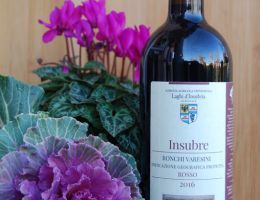 Immagine 1 di I.G.T. RONCHI VARESINI ROSSO INSUBRE VITIVINICOLA LAGHI D'INSUBRIA