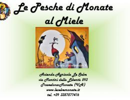 Immagine 2 di PESCHE SCIROPPATE DI MONATE AL MIELE DI ACACIA  AGRICOLA LE SELVE DI MONATE