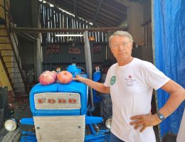 Immagine 2 di CIPOLLA ROSSA DI BREME AGRICOLA ACETI