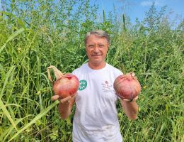 Immagine 1 di CIPOLLA ROSSA DI BREME AGRICOLA ACETI
