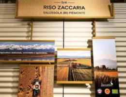 Immagine 5 di RISO CARNAROLI D.O.P. DI BARAGGIA BIELLESE E VERCELLESE ZACCARIA RISO