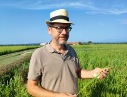 Immagine 4 di RISO DI BARAGGIA BIELLESE E VERCELLESE D.O.P. RISO LOTO BIOLOGICO ZACCARIA RISO