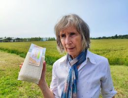 Immagine 2 di RISO ROSA MARCHETTI BIO DI ROVASENDA BIANDRATE MARIA