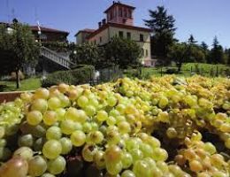 Immagine 5 di SPUMANTE MILLESIMATO ROSATO RISERVA D’ANTAN® TENUTA LA SCOLCA