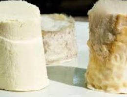 Immagine 1 di ZINCARLIN DI CAPRA A LATTE DI CAPRA CASEIFICIO ARISTEO VALCUVIA