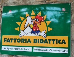 Immagine 4 di QUANCIALE PEPATO DI SUINO NERO DEI NEBRODI FATTORIA BORRELLO