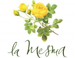 Immagine 2 di GAVI DEL COMUNE DI GAVI D.O.C.G. INDI LA MESMA VINI