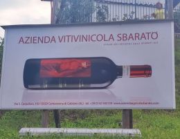 Immagine 3 di GABIANO D.O.C. SBARATO VINI