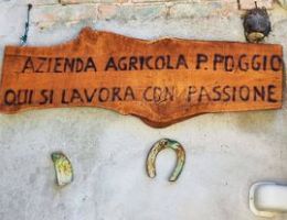 Immagine 4 di DERTHONA TIMORASSO  RONCHETTO CANTINA POGGIO PAOLO