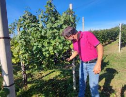 Immagine 4 di METODO CLASSICO EXTRA BRUT NEBBIOLO ROSE' VITIVINICOLA DELSIGNORE DI GATTINARA