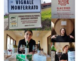 Immagine 2 di MALVASIA DI CASORZO D.O.C. DOLCE STIL NOVO GAUDIO VINI