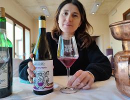 Immagine 4 di MALVASIA DI CASORZO D.O.C. DOLCE STIL NOVO GAUDIO VINI