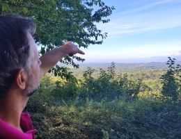 Immagine 5 di GATTINARA CLASSICO D.O.C.G. IL PUTTO VITIVINICOLA DELSIGNORE DI GATTINARA