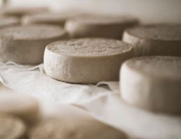 Immagine 2 di FORMAGGELLA DEL LUINESE D.O.P. CASEIFICIO PIAN DEL LARES